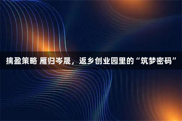 摛盈策略 雁归岑晟，返乡创业园里的“筑梦密码”