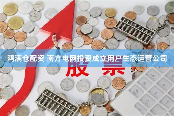 鸿满仓配资 南方电网投资成立用户生态运营公司